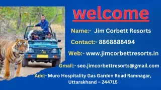 Corbett Jeep Safari: Exploring the Wilderness