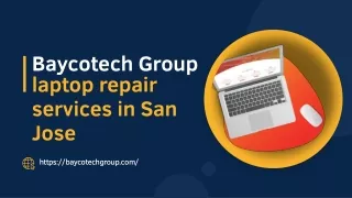 Baycotech Group