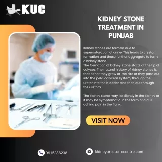 PPT - Kidney Stone Treatment in Punjab PowerPoint Presentation, free ...