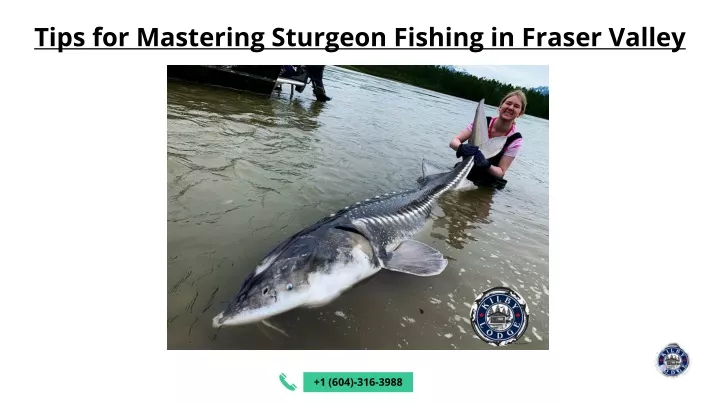 tips for mastering sturgeon fishing in fraser
