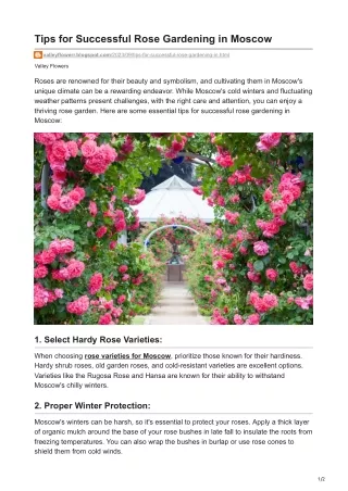 Tips for Successful Rose Gardening in Moscow