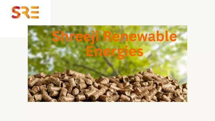 shreeji renewable energies