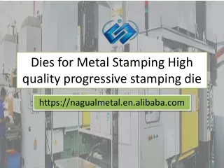 Dies for Metal Stamping High quality progressive stamping die