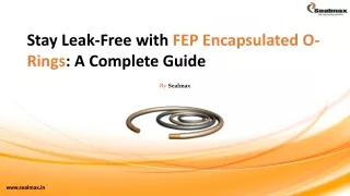 Stay Leak-Free with FEP Encapsulated O-Rings A Complete Guide