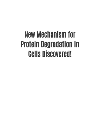 New Mechanism for Protein Degradation in Cells Discovered!