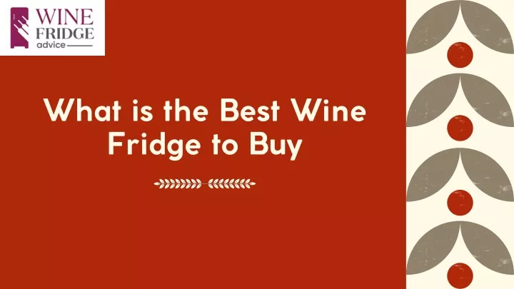 what is the best wine fridge to buy