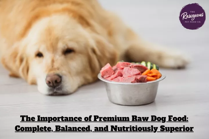 the importance of premium raw dog food complete