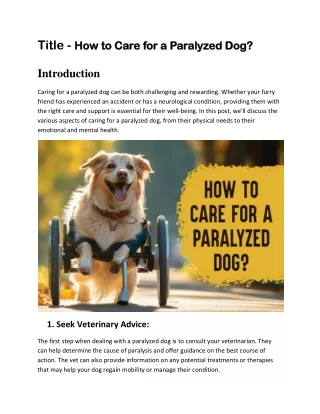 How to Care for a Paralyzed Dog