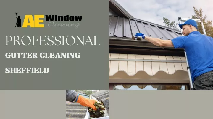 professional gutter cleaning