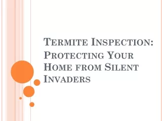 Termite Inspection Protecting Your Home from Silent Invaders