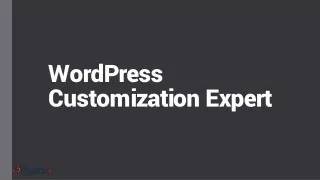 WordPress Customization Expert