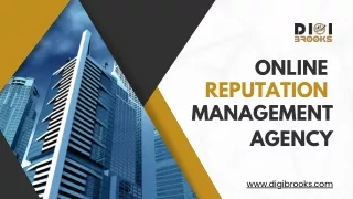 Top-Notch Online Reputation Management Agency - DIGI Brooks