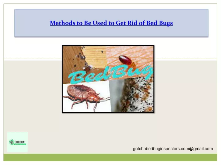 methods to be used to get rid of bed bugs