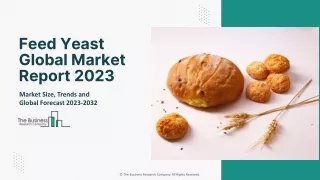 Feed Yeast Market 2023 : Industry Analysis, Growth, Drivers And Forecast 2032