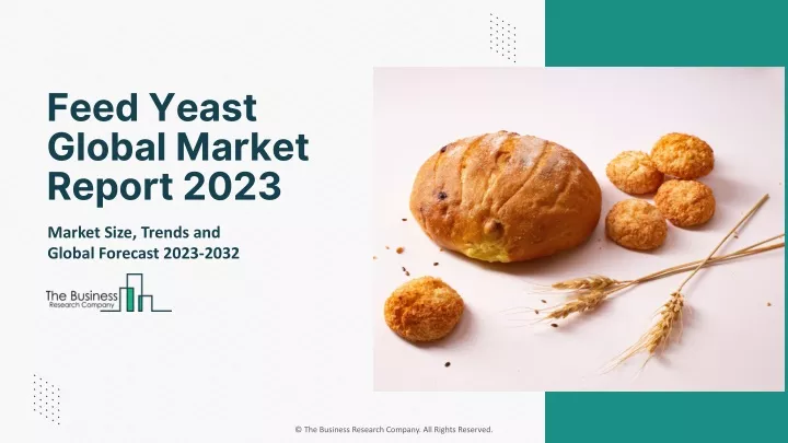 feed yeast global market report 2023