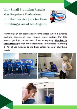 Why Small Plumbing Repairs May Require a Professional Plumber Service  Rooter Hero Plumbing of Los Angeles