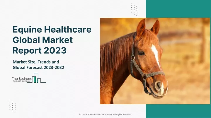 equine healthcare global market report 2023