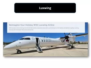 Soar to Luxury with Luxwing: Private Jet Flights and Lux Airlines