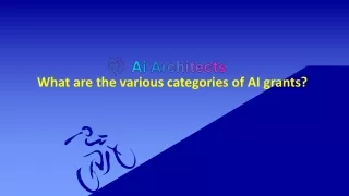 What are the various categories of AI grants?