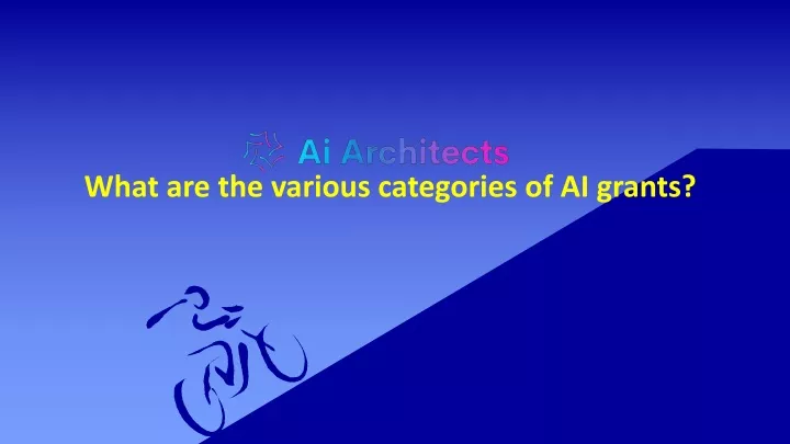 what are the various categories of ai grants