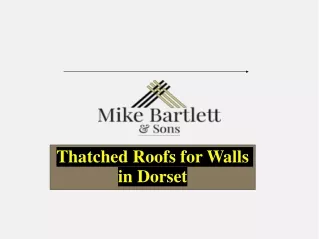 Thatched Roofs for Walls in Dorset