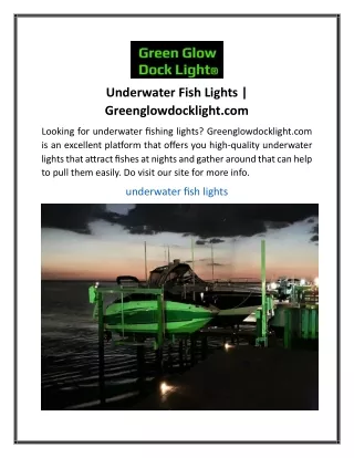 Underwater Fish Lights