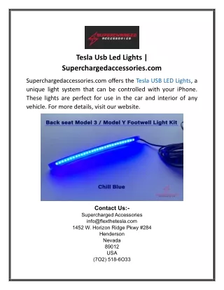 Tesla Usb Led Lights