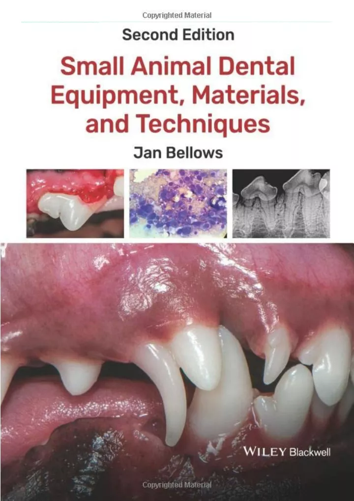 small animal dental equipment materials