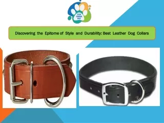 Discovering the Epitome of Style and Durability: Best Leather Dog Collars