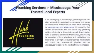 plumbing services in mississauga your trusted