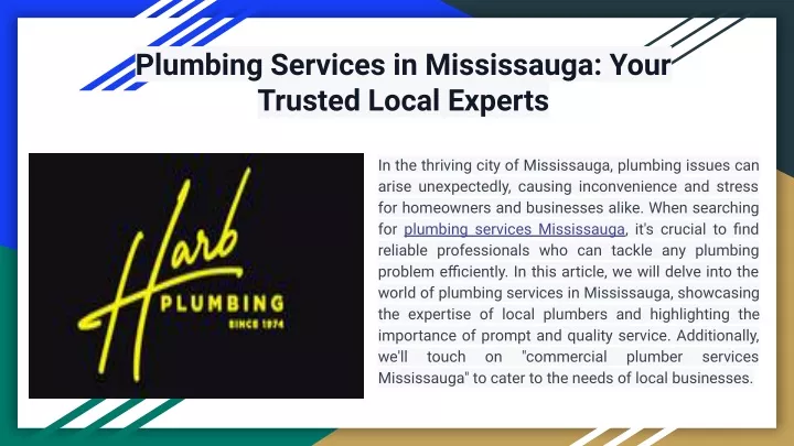plumbing services in mississauga your trusted