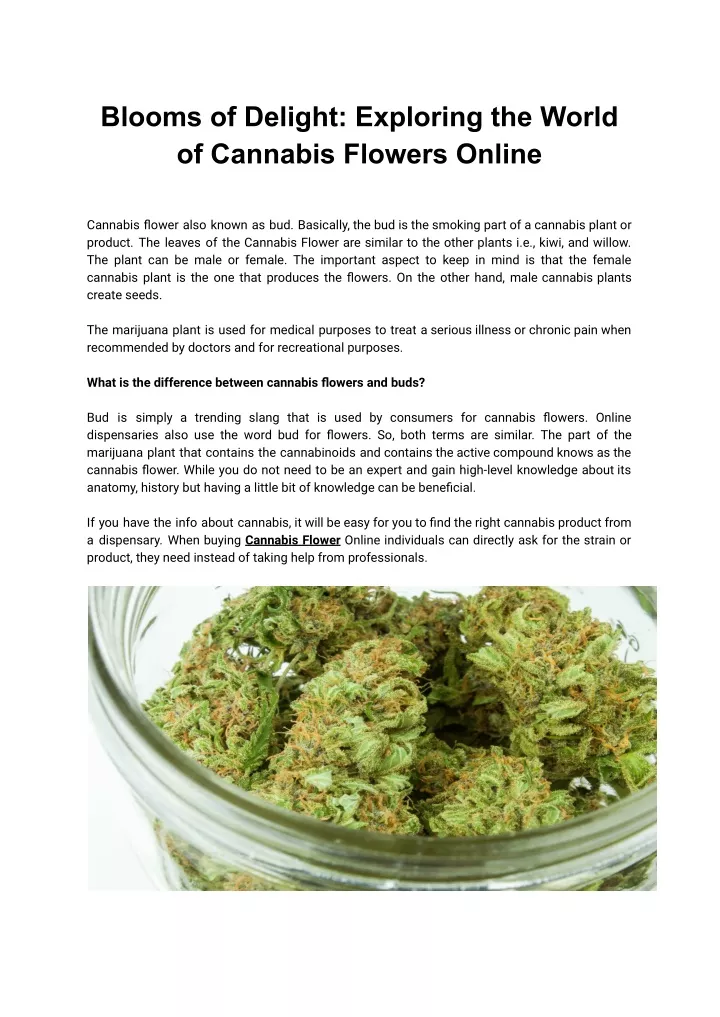 blooms of delight exploring the world of cannabis