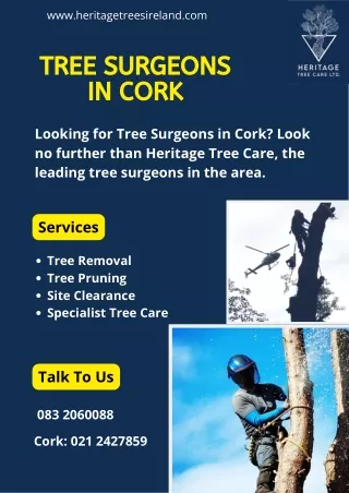 Tree surgeons in Cork | Tree Removal, Pruning