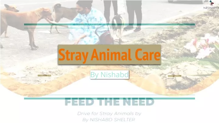 stray animal care