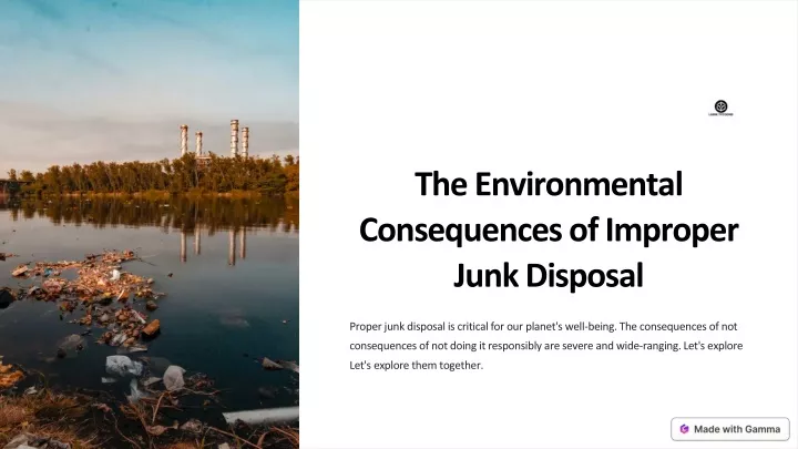 the environmental consequences of improper junk