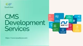 CMS Development Services - Eye4Future