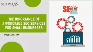 The Importance of Affordable SEO Services for Small Businesses (1)