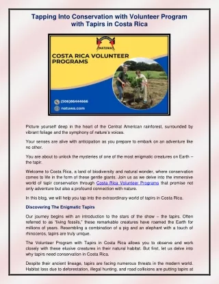 Costa Rica Volunteer Programs