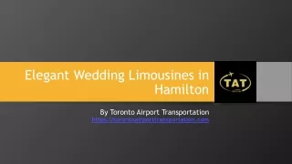 Elegant Wedding Limousines in Hamilton