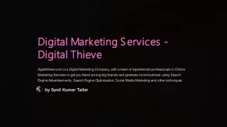 Digital Marketing Services - Digital Thieve