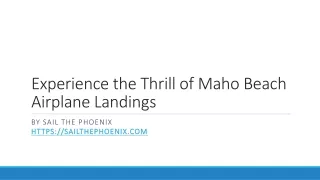 Experience the Thrill of Maho Beach Airplane Landings