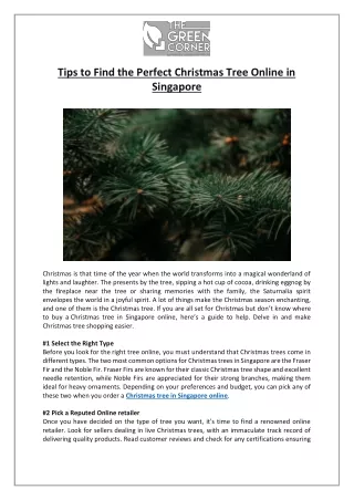 Tips to Find the Perfect Christmas Tree Online in Singapore