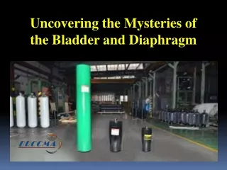 Uncovering the Mysteries of the Bladder and Diaphragm