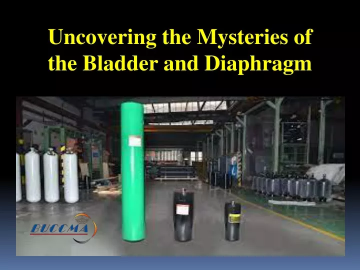 uncovering the mysteries of the bladder