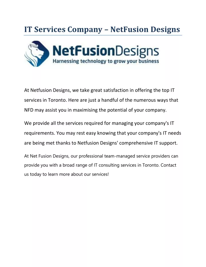 it services company netfusion designs