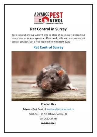 Rat Control in Surrey