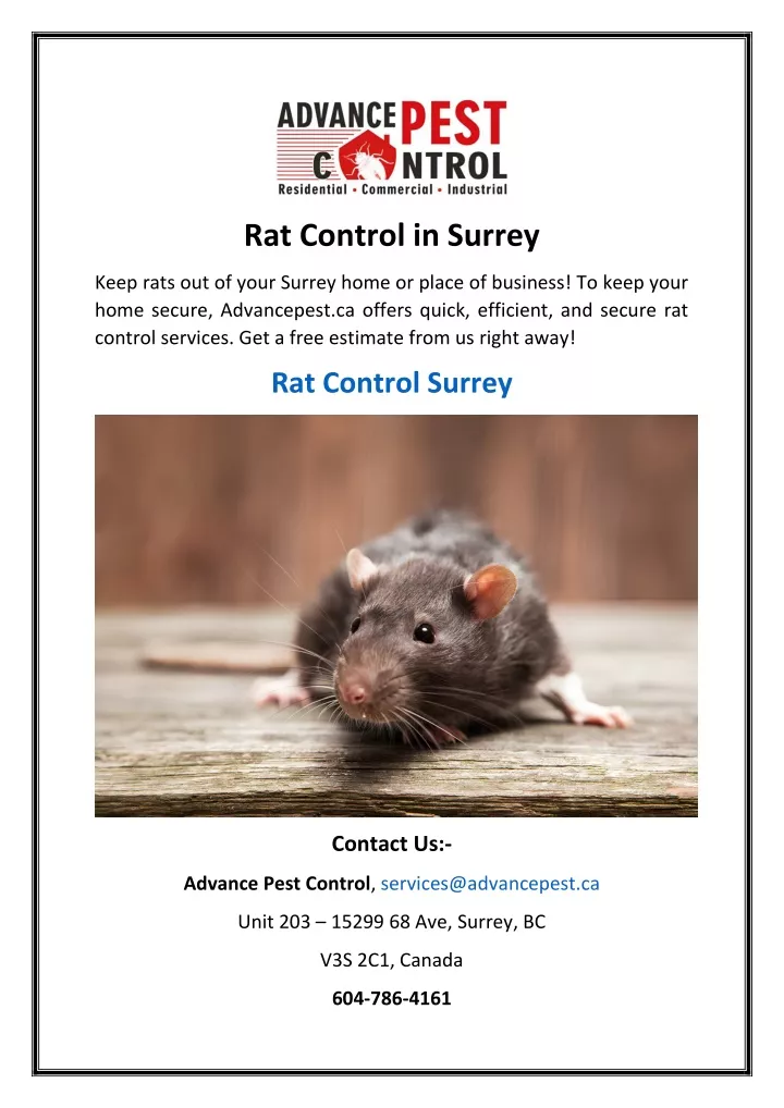 rat control in surrey