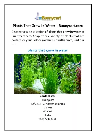 Plants That Grow In Water  Bunnycart.com