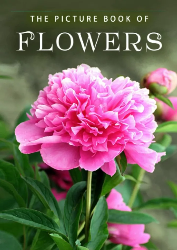 the picture book of flowers a gift book