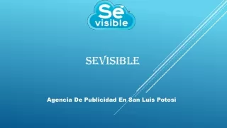 Agencia De Publicidad En San Luis Potosi | Sevisible.marketing
